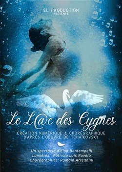 Affiche de Le Lac des Cygnes
