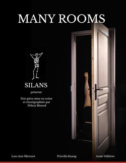 Affiche de Many Rooms