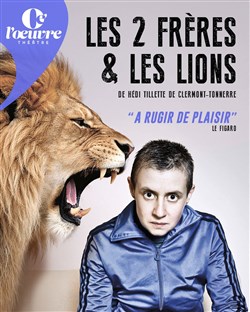 Affiche de Les deux frères et les lions
