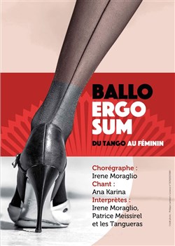 Affiche de Ballo Ergo Sum