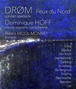 Affiche de DRØM - Lumières du Nord