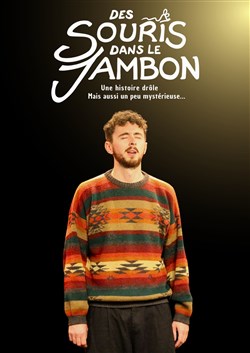 Affiche de Benoît Maury dans Des souris dans le jambon