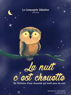 Affiche de La nuit c'est chouette