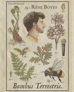 Affiche de Rémi Boyes dans Bombus Terrestris
