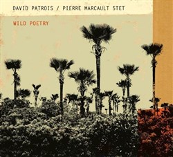 Affiche de David Patrois & Pierre Marcault quintet Wild poetry