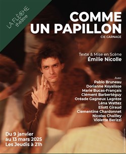 Affiche de Comme un papillon