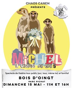 Affiche de Michel l'eusses-tu cru ?