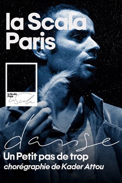 Affiche de Un petit pas de trop