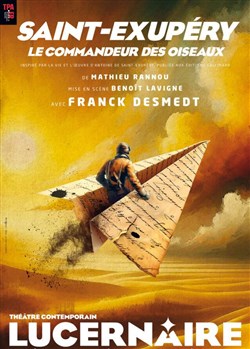 Affiche de Saint-Exupéry, le commandeur des oiseaux