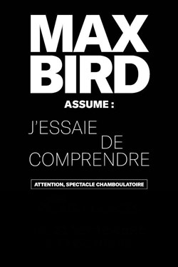 Affiche de Max Bird J'essaie de comprendre