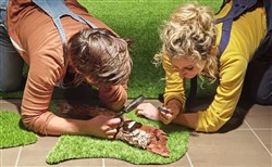 Affiche de Sous mes pieds