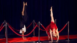 Affiche de The Award : Gala acrobatique pour 9 acrobates