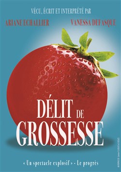 Affiche de Délit de grossesse