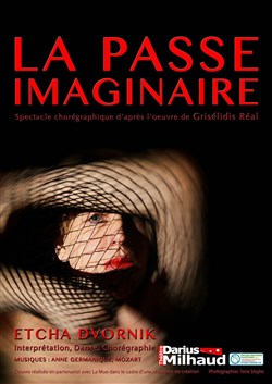 Affiche de La Passe imaginaire