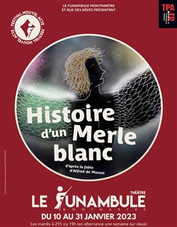 Affiche de Histoire d'un merle blanc