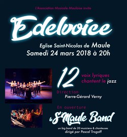 Affiche de Edelvoice