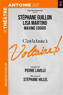 Affiche de C'est la faute à Voltaire