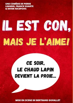 Affiche de Il est con mais je l'aime !