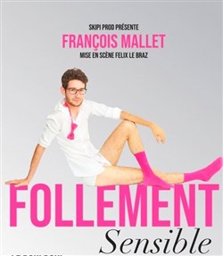 Affiche de François Mallet dans Follement sensible
