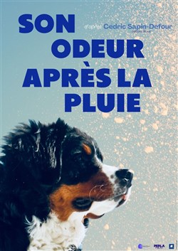 Affiche de Son odeur après la pluie