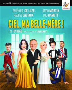 Affiche de Ciel ma belle-mère !