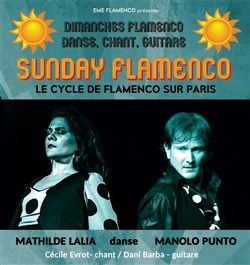 Affiche de Sunday Flamenco