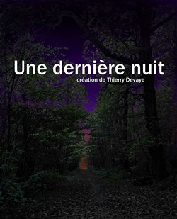 Affiche de Une dernière nuit