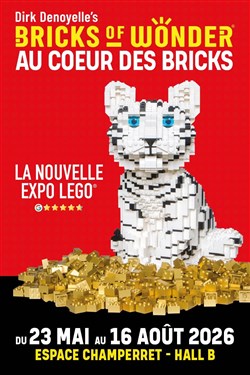 Affiche de Expo LEGO® : Bricks of Wonder® - Au coeur des Bricks