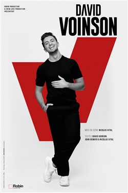Affiche de David Voinson
