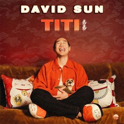 Affiche de David Sun dans Titi