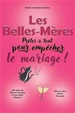 Affiche de Les belles meres