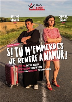 Affiche de Si tu m'emmerdes, je rentre à Namur !