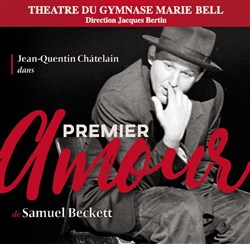 Affiche de Premier Amour
