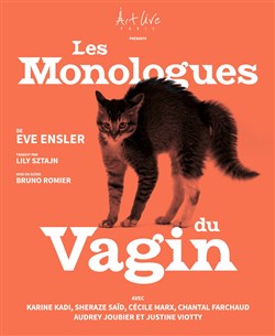 Affiche de Les monologues du vagin