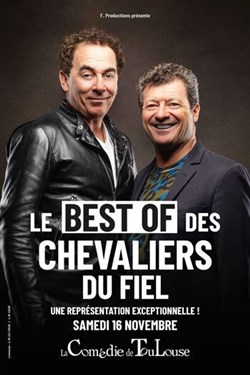 Affiche de Les best of des chevaliers du Fiel