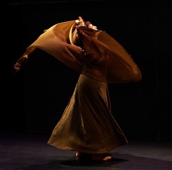 Affiche de Danse en hommage à Oum Kalthoum