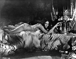 Affiche de La Vénus fait son Show Burlesque