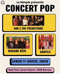 Affiche de Concert Pop au Meeple