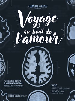 Affiche de Voyage au bout de l'amour