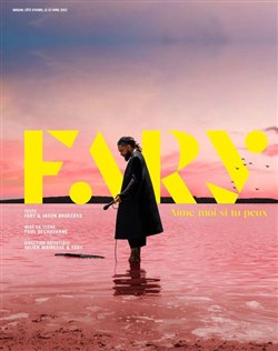 Affiche de Fary dans Aime moi si tu peux