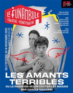 Affiche de Les amants terribles