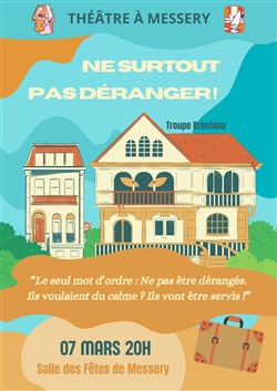 Affiche de Ne surtout pas déranger