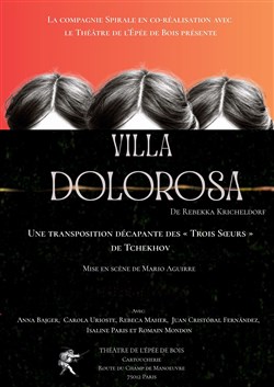 Affiche de Villa Dolorosa