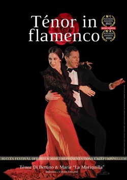 Affiche de Ténor in flamenco, le show musical du Festival d'Avignon