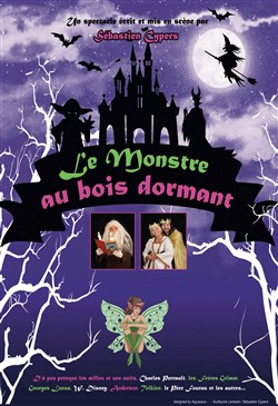 Affiche de Le monstre au bois dormant