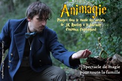 Affiche de Animagie