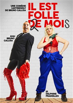 Affiche de Il est folle de moi