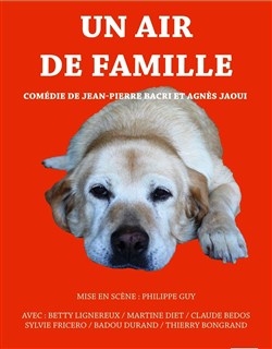 Affiche de Un air de famille