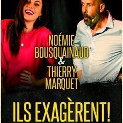 Affiche de Ils exagèrent