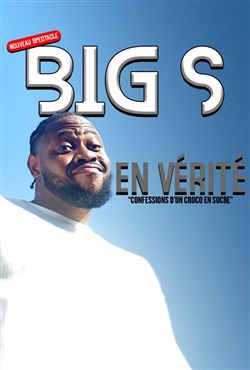 Affiche de Big S dans En vérité, confessions d'un croco en sucre